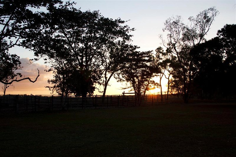 3057 Cape York 550D Aug11 (Medium).jpg